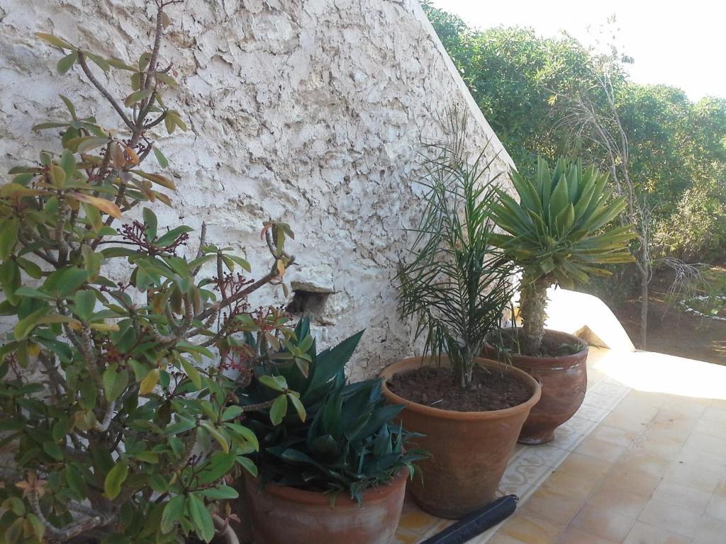 La Maison Essaouira Bagian luar foto
